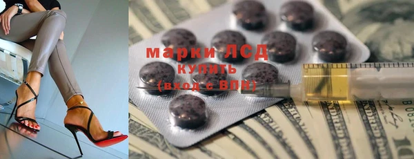 индика Михайловск