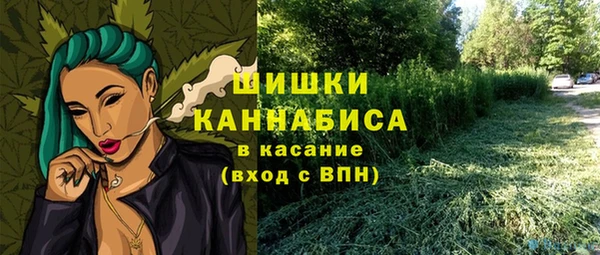 индика Михайловск
